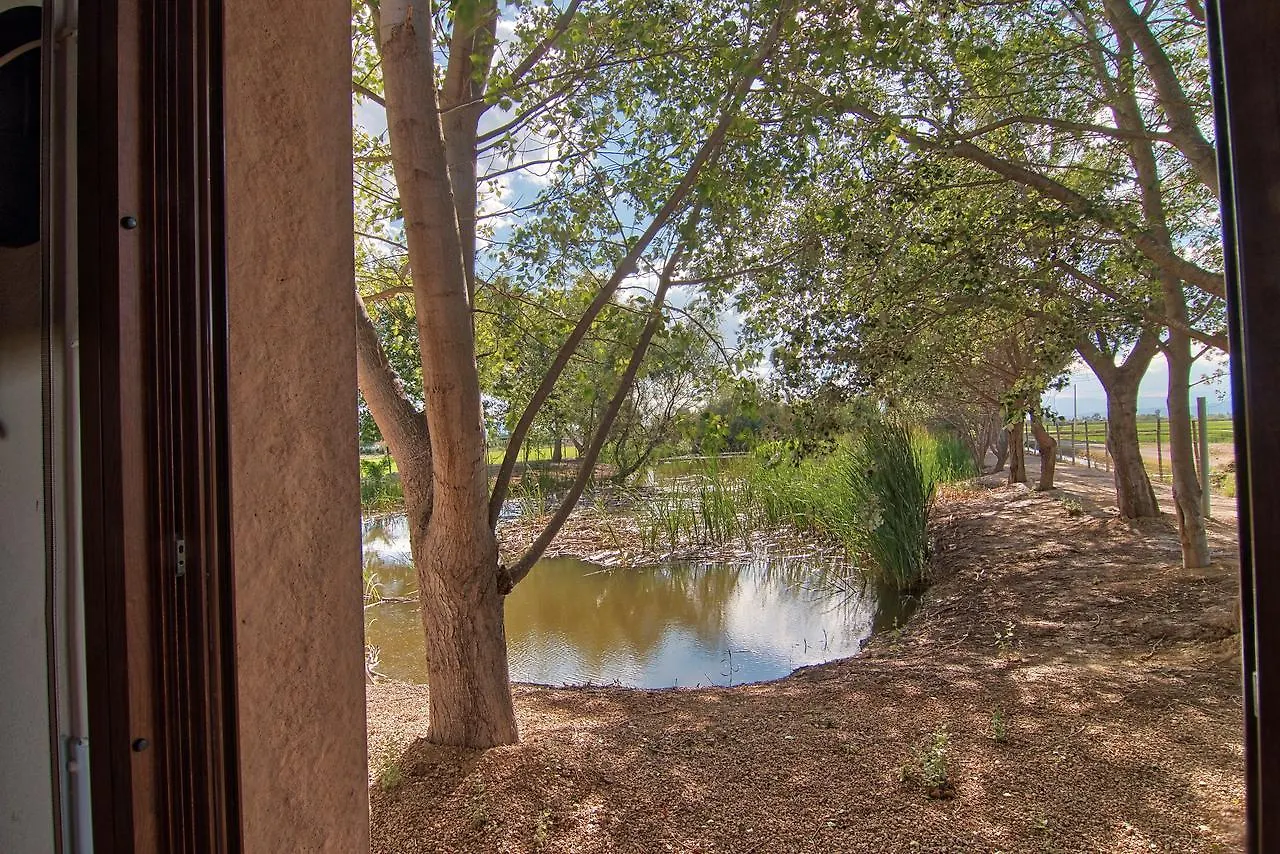 La Illeta Villa Deltebre Holiday home