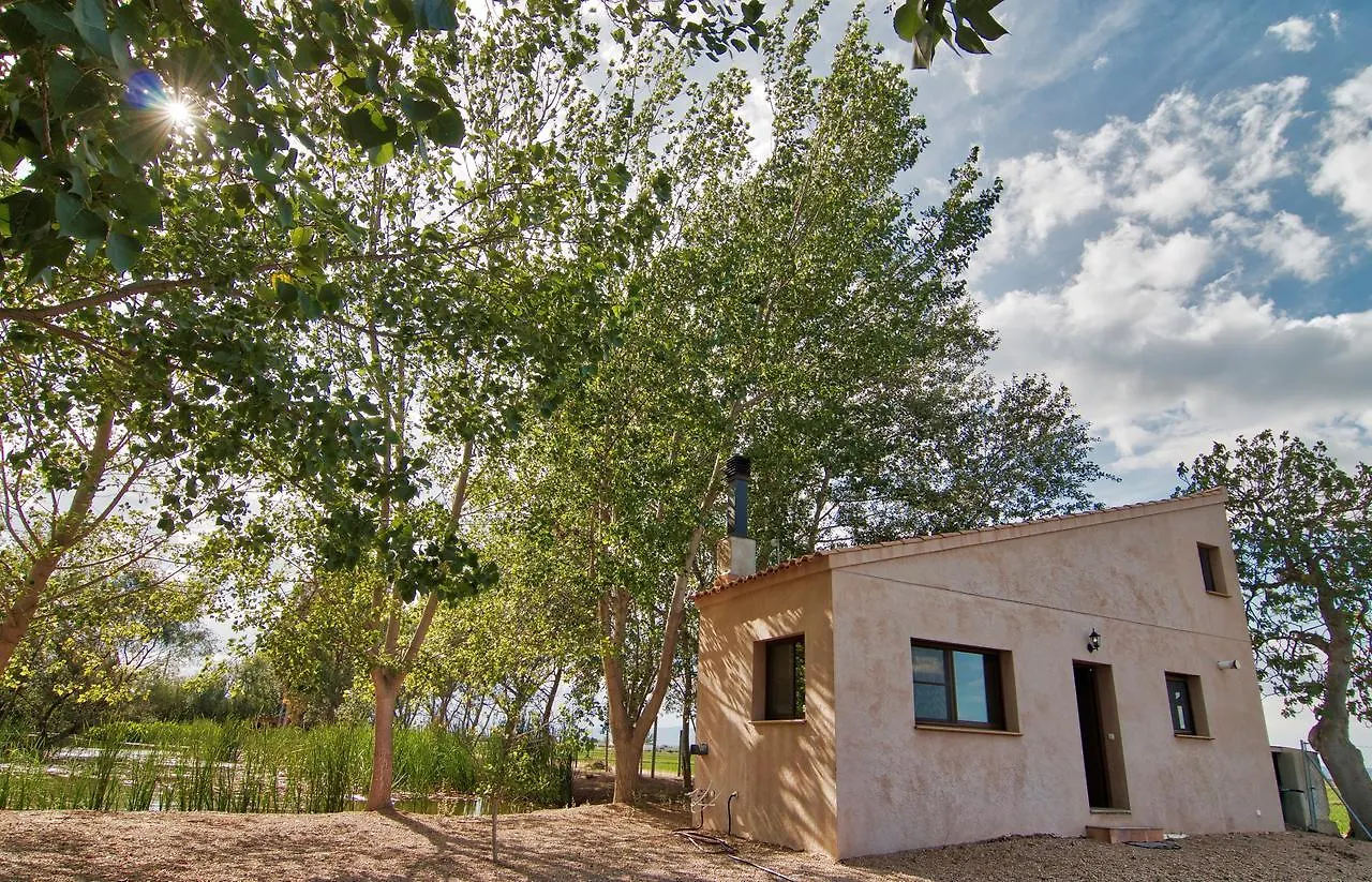 La Illeta Villa Deltebre Spain